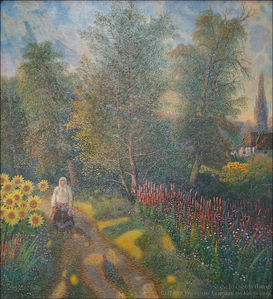 Sunflowers in Bloom